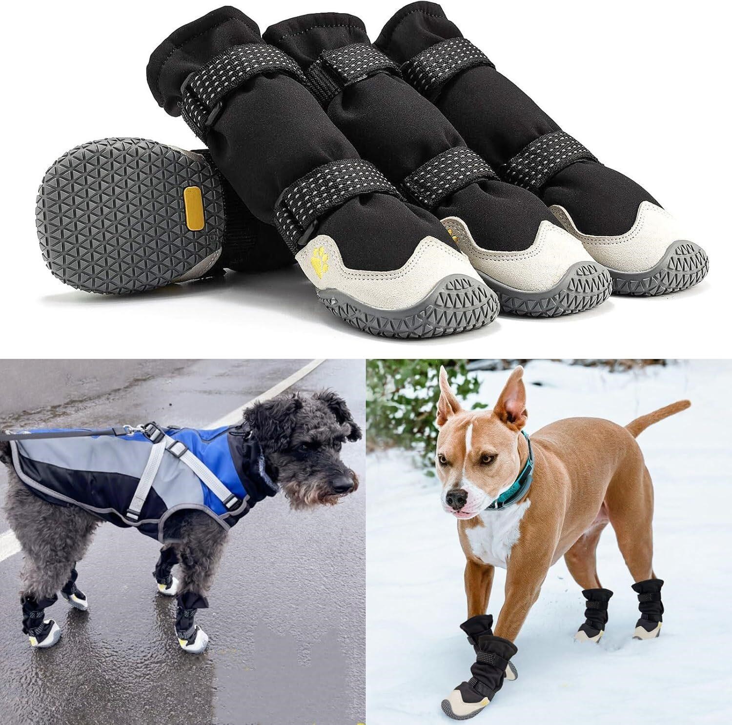 Enjoying Long Legged Dog Boots
